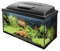 AQUARIUM 60